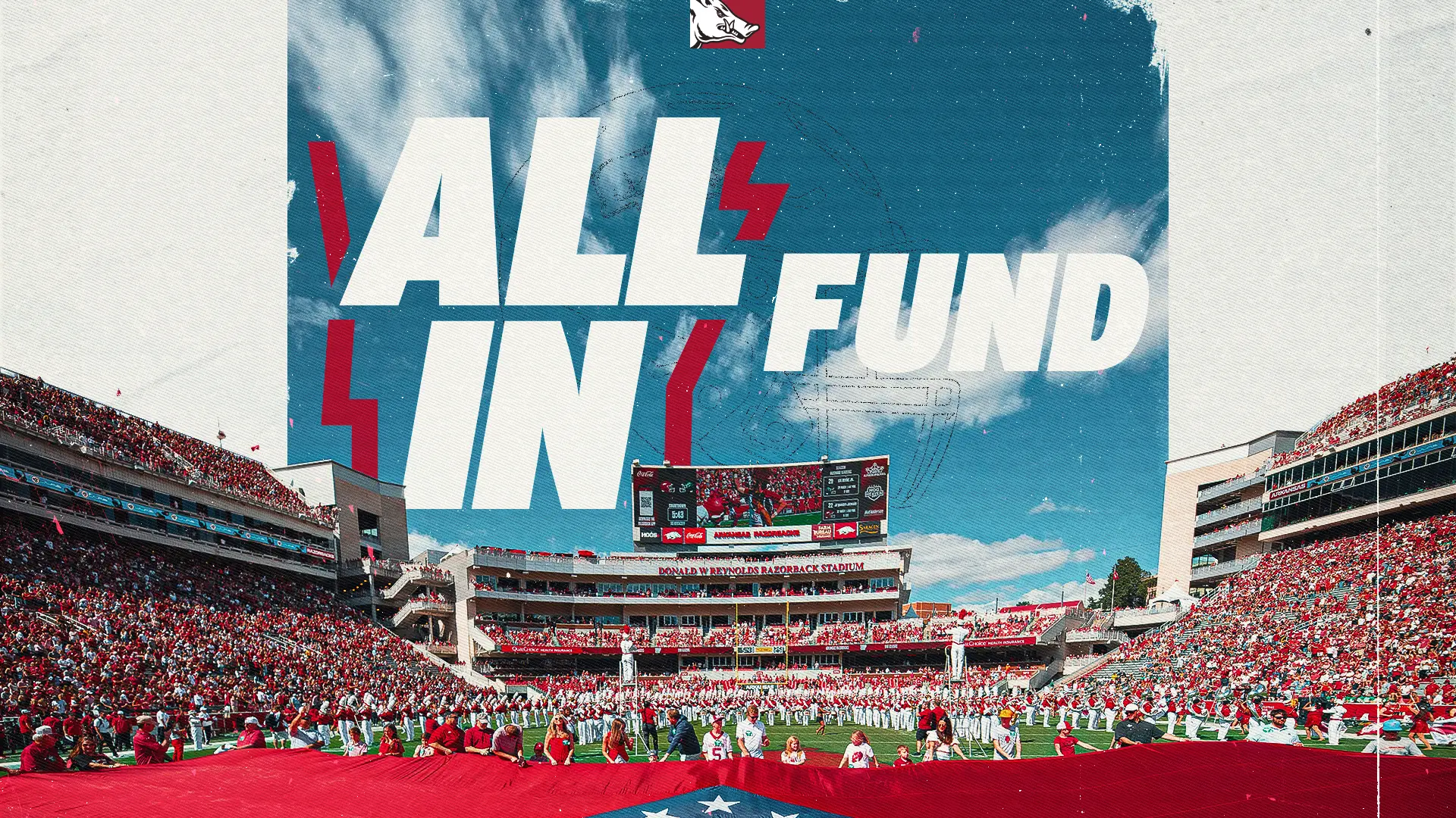 ALL IN Fund graphic